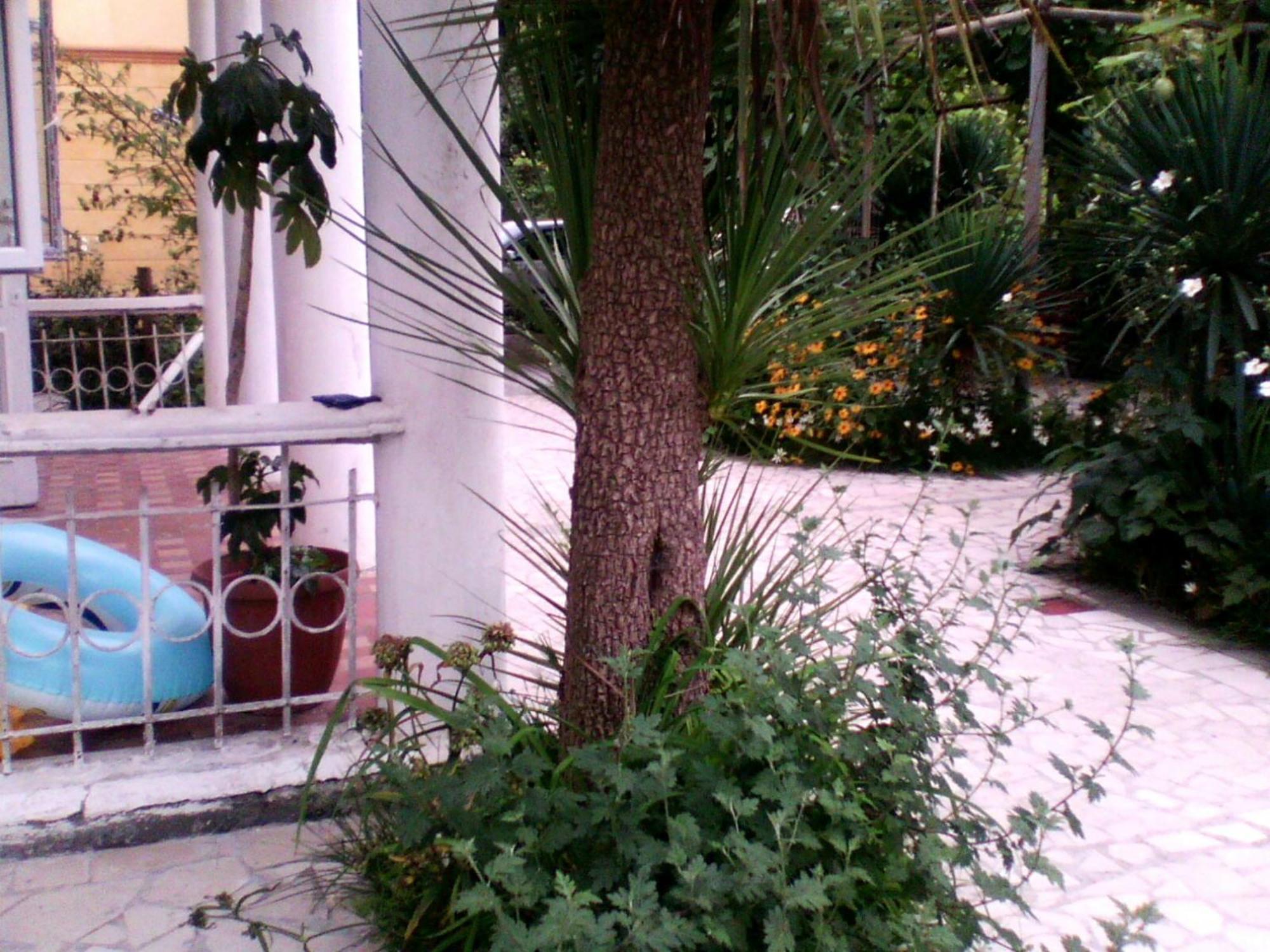 White Guest House บาทูมิ ภายนอก รูปภาพ