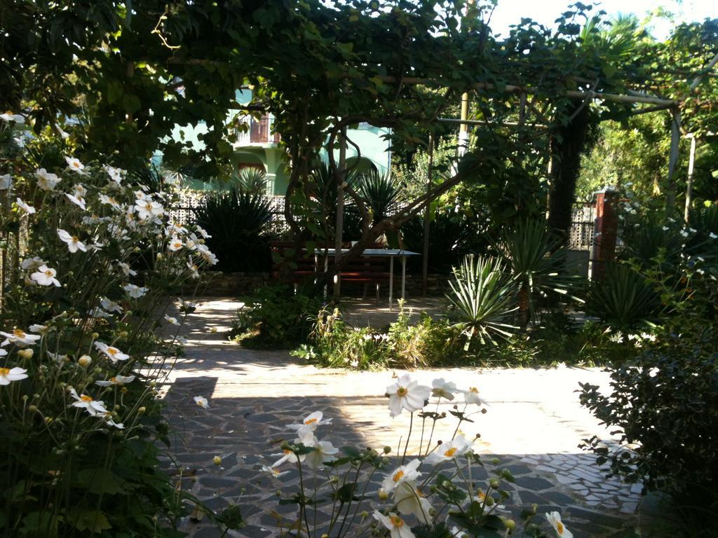 White Guest House บาทูมิ ภายนอก รูปภาพ