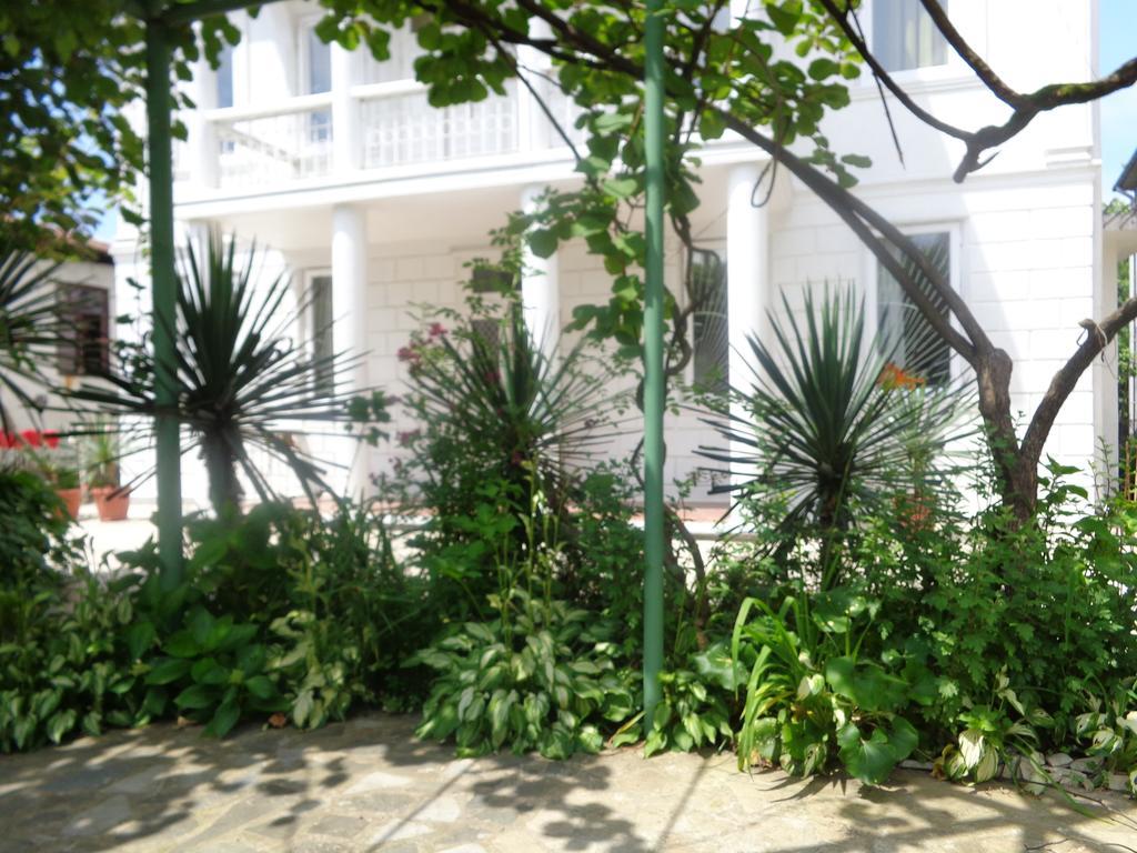 White Guest House บาทูมิ ภายนอก รูปภาพ