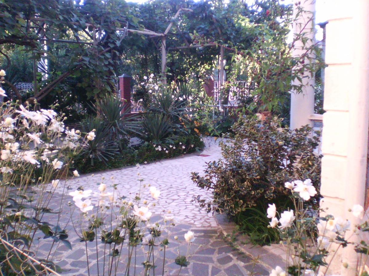 White Guest House บาทูมิ ภายนอก รูปภาพ